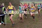 Senior womens Inter Counties Cross Country, Prestwold Hall, Loughborough. Photo: David T. Hewitson/Sports for All Pics